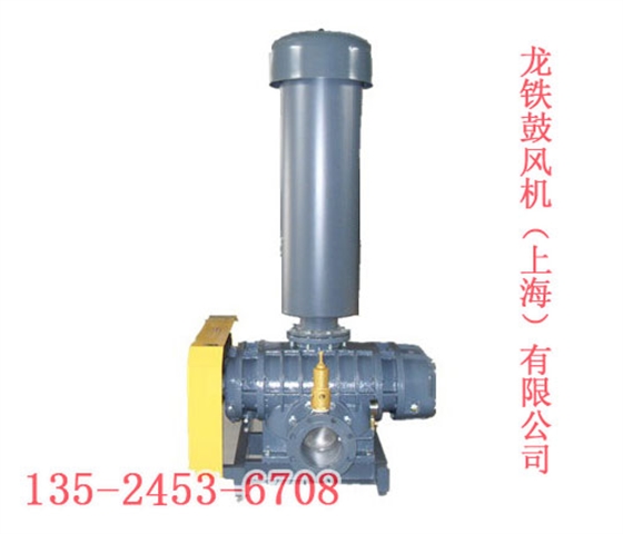 煤氣專(zhuān)用羅茨鼓風(fēng)機(jī)