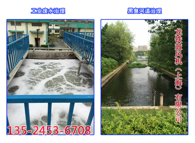 沉水風機應用